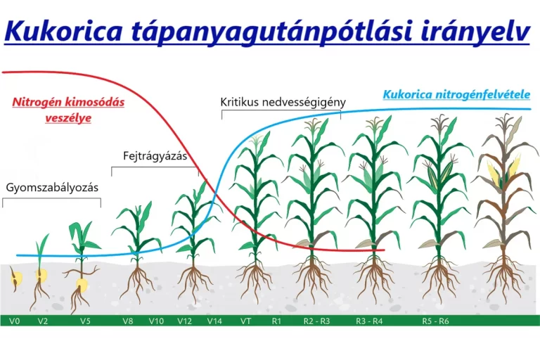 kukorica tápanyag utánpótlási irányelv