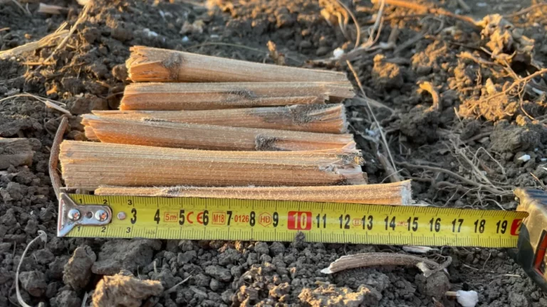 Aprításban verhetetlen MXR hengertagok